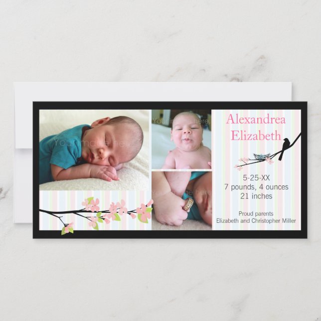 Vogel und Blüten in rosa Foto Geburtserklärung Ankündigung (Vorderseite)