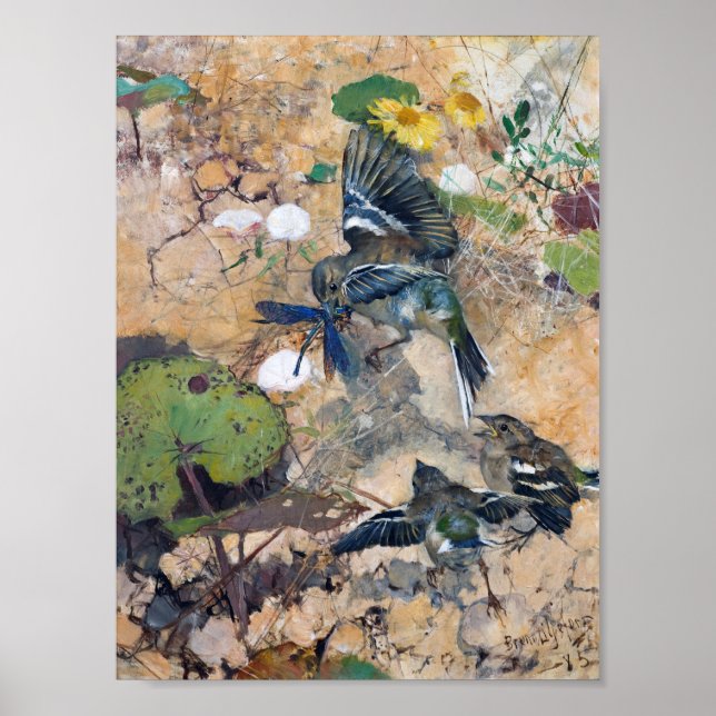 Vogel und Dragonfly, Bruno Liljefors Poster (Vorne)