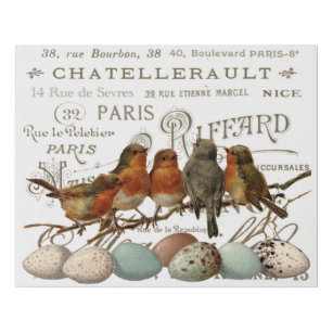 Vögel und Eier Vintage französische Stadtbezeichnu Künstlicher Leinwanddruck