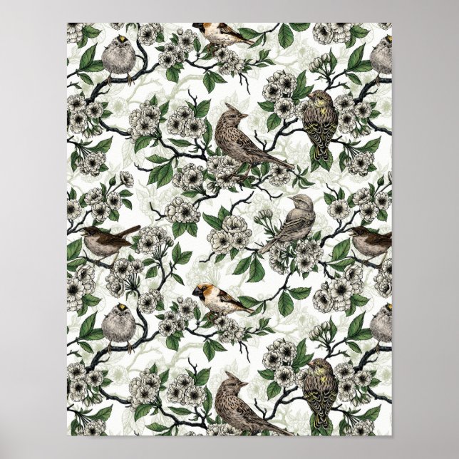 Vögel und Kirschblüten auf Weiß Poster (Vorne)
