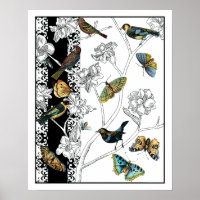 Vögel und Schmetterlinge im schwarz-weißen Hinterg