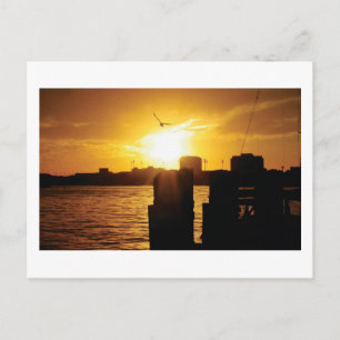 Vögel und Sonnenuntergang Postkarte