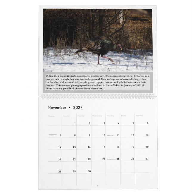 Vögel Utahs 2027 Kalender (Nov 2027)