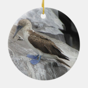 Vogel-Verzierung Keramik Ornament