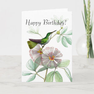 Vögel Vögel Blume Flora Tiere Wildtiere Karte