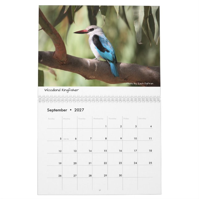Vögel von Äthiopien-Kalender Kalender (Sep 2027)
