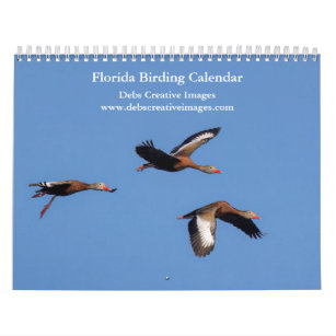 Vögel von Florida 2024 Kalender