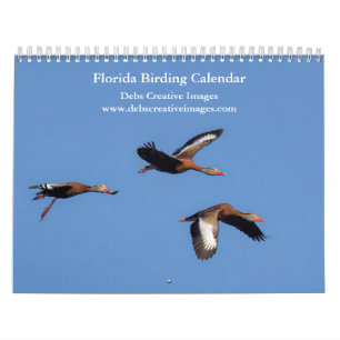 Vögel von Florida 2025 Kalender