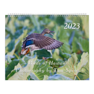 Vögel von Hawaii - Kalender 2023