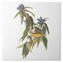 Vögel von John James Audubon