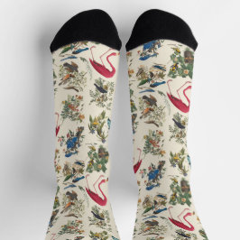 Vögel von John James Audubon Socken
