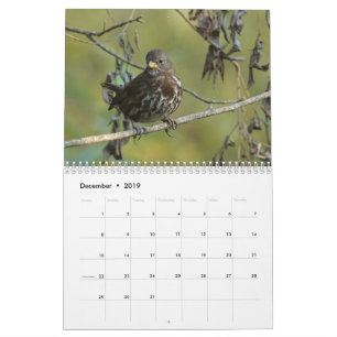 Vögel von Kalender Nordamerikas 2019
