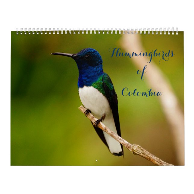 Vögel von Kolumbien Kalender (Titelbild)