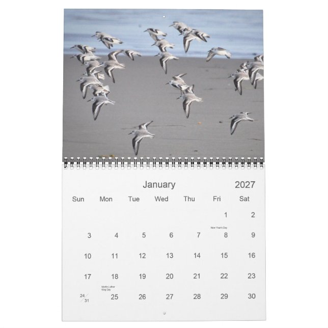 Vögel von Mendocino Kalender (Jan 2027)