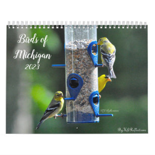 Vögel von Michigan Kalender