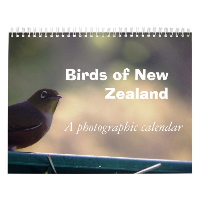 Vögel von Neuseeland Kalender (Titelbild)