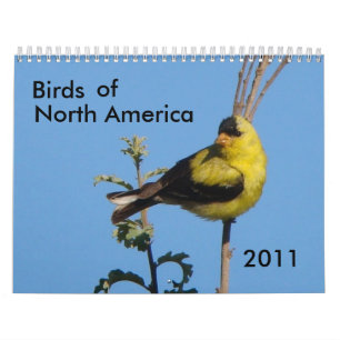 Vögel von Nordamerika 2011 Kalender