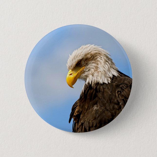 Vogel von Pray Bald Eagle Button (Vorderseite)