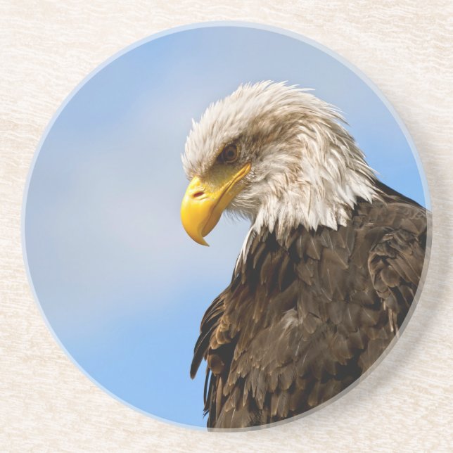 Vogel von Pray Bald Eagle Getränkeuntersetzer (Vorne)