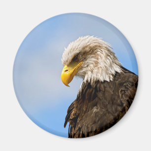 Vogel von Pray Bald Eagle Magnet
