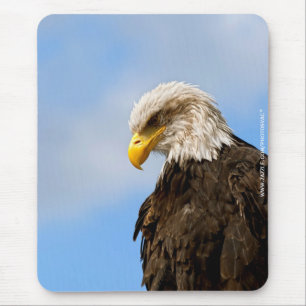 Vogel von Pray Bald Eagle Mousepad