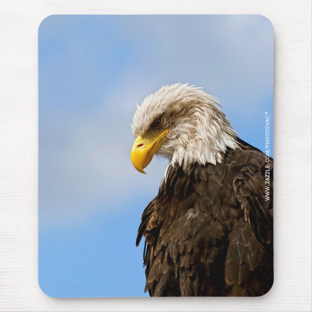 Vogel von Pray Bald Eagle Mousepad (Vorne)