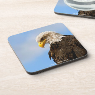 Vogel von Pray Bald Eagle Untersetzer