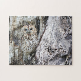Vogel von Raubvögeln in der Camouflage Puzzle
