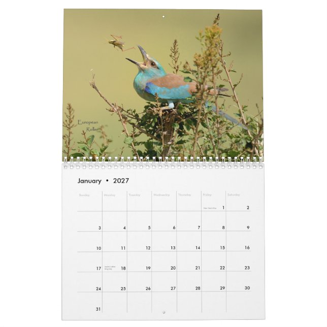 Vögel von Tansania-Kalender Kalender (Jan 2027)