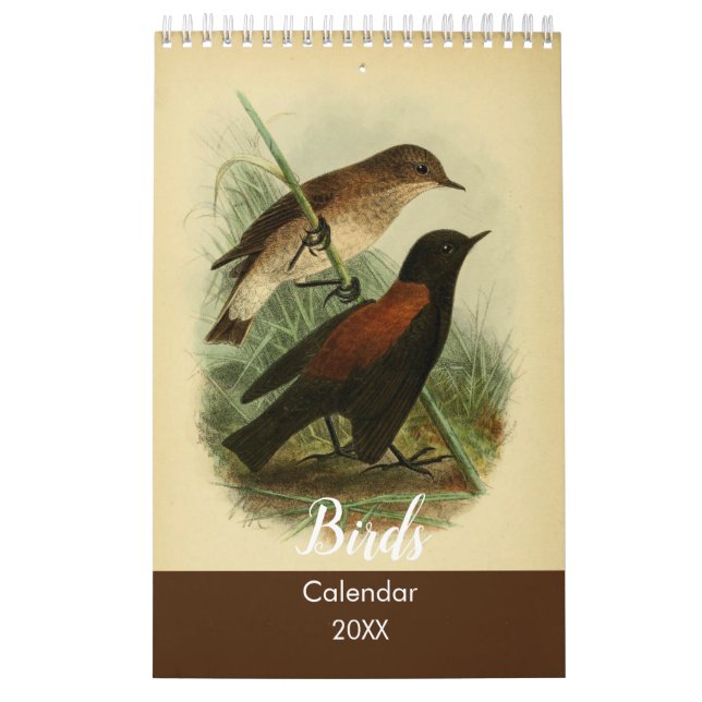 Vögel von Tierra Del Fuego Kalender (Titelbild)