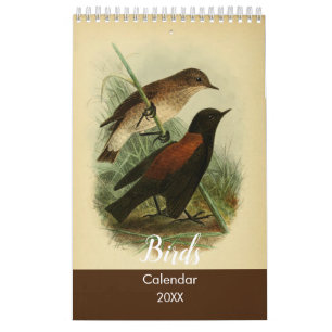 Vögel von Tierra Del Fuego Kalender