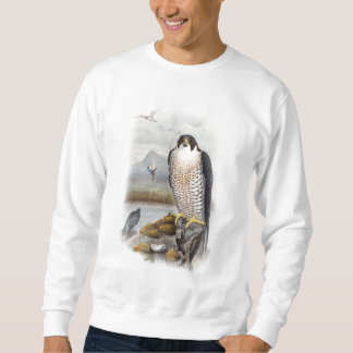 Vögel Wanderfalke-Johns Gould von Großbritannien Sweatshirt