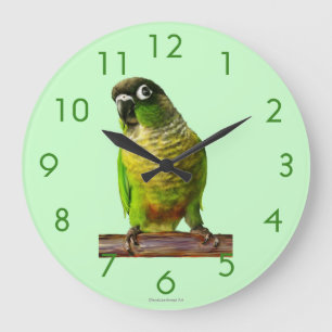 Vogel-Wanduhr Große Wanduhr