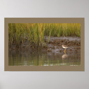 Vogel-Wasserlandschaft-Foto-Poster Poster