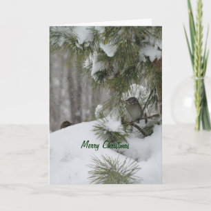 Vogel-Weihnachtsschutz Feiertagskarte