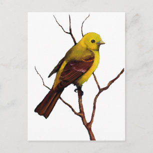 Vögel: Western Tanager: Originalität Postkarte