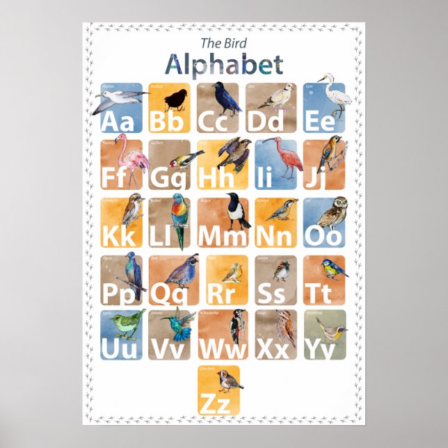 Vogelalphabet Poster (Vorne)