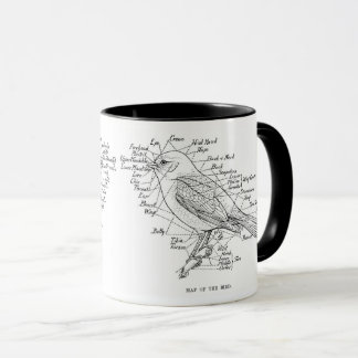 Vogelanatomie Tasse