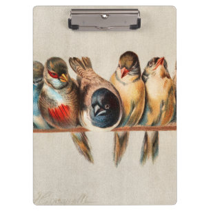 Vogelart und Taube Klemmbrett