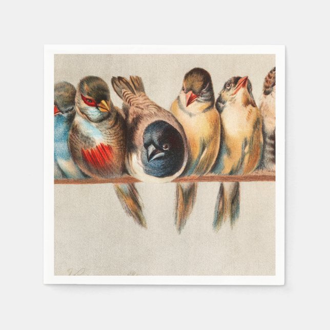 Vogelart und Taube Serviette (Vorderseite)