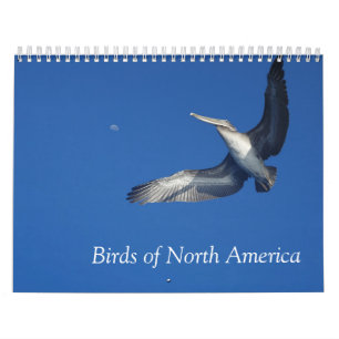 Vogelarten im Nordamerika-Kalender Kalender