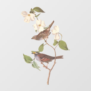 Vogelarten mit Weißwurmblättern, Audubon mit Blume Fensteraufkleber