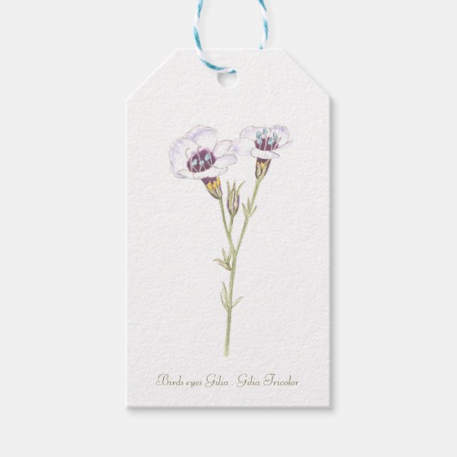 Vogelaugen Gilia Aquarell Holzkastenschild Geschenkanhänger (Vorderseite)