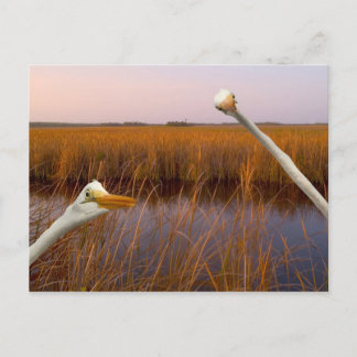 "Vogelaugenansicht" - Postkarte