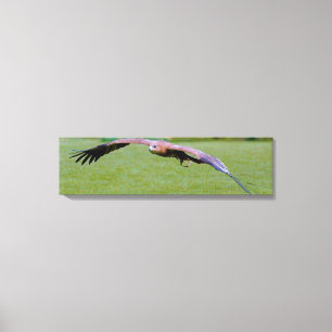 Vogelaugenblick über Panoramafenstreifen Print Leinwanddruck