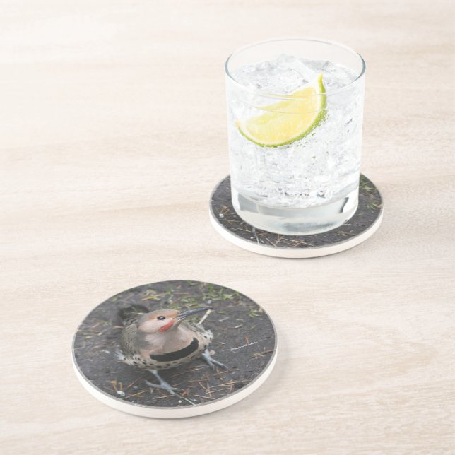 Vogelaugensicht auf den Nordflackerspecht Getränkeuntersetzer (Seite)