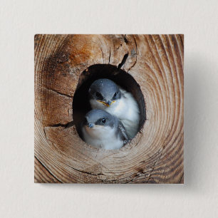 Vogelbabys Button