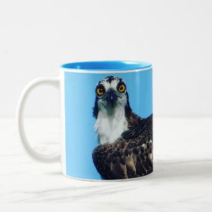 Vogelbeobachters Kaffee Tasse / Cup - Osprey - Bir