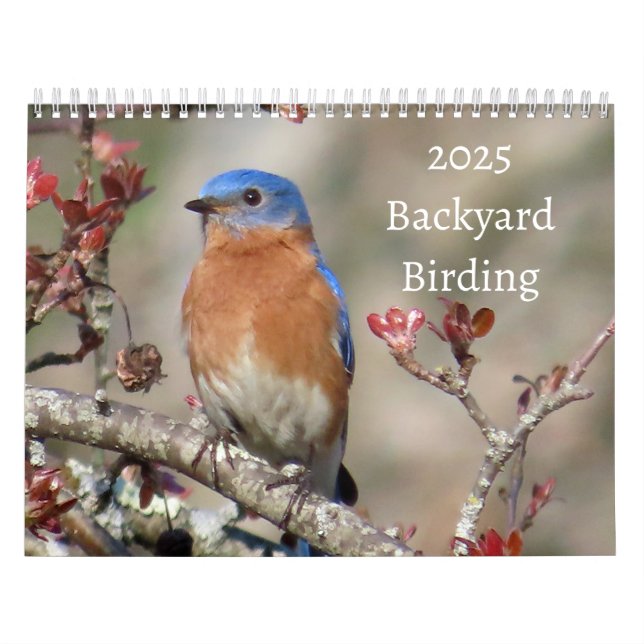 Vogelbeobachtung 2025 kalender (Titelbild)