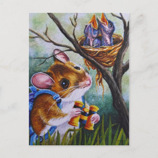 Vogelbeobachtung Field Mouse Findest Wasserfarben Postkarte